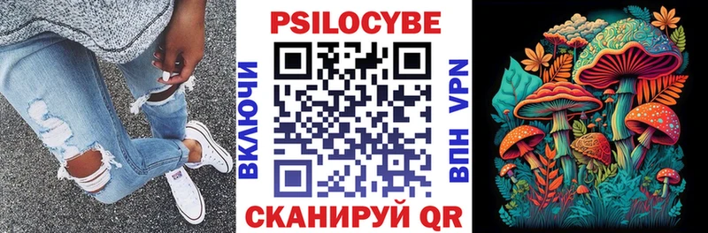 Псилоцибиновые грибы Psilocybine cubensis  Великий Новгород 
